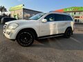2008 Mercedes-Benz GL-Класс 500 I (X164), белый, 1650000 рублей - вид 6