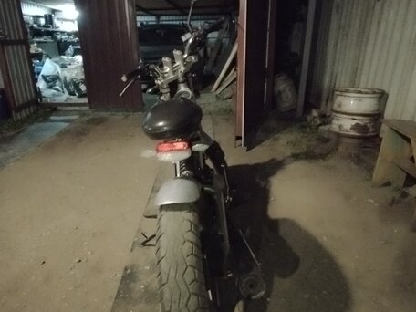 2008 Sachs MadAss, серебристый, 65000 рублей, вид 3