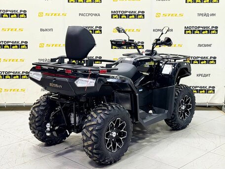 2026 Bizon YK450L EPS, чёрный, 639900 рублей, вид 5