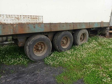 1994 Lamberet LVFS3F, белый, 270000 рублей, вид 3