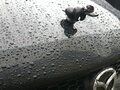 2008 Mazda Demio III (DE), чёрный, 890000 рублей - вид 3