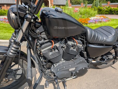 2010 Harley-Davidson Sportster 883, чёрный, 720000 рублей, вид 3