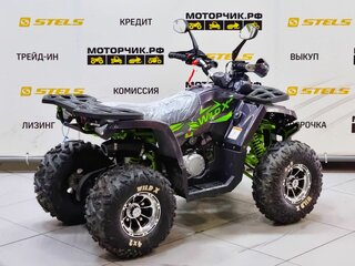 2025 Motoland Wild 125, серый, 99000 рублей, вид 5