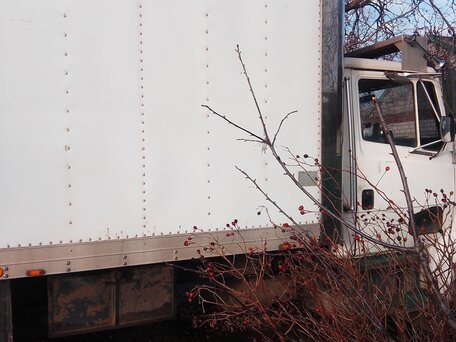 2003 Freightliner Business Class (FL), белый, 1600000 рублей, вид 2