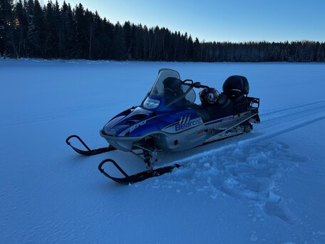 2005 Arctic Cat Bearcat, синий, 650000 рублей, вид 2