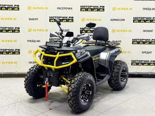 2026 Bison ATV 250F, серый, 239900 рублей, вид 1