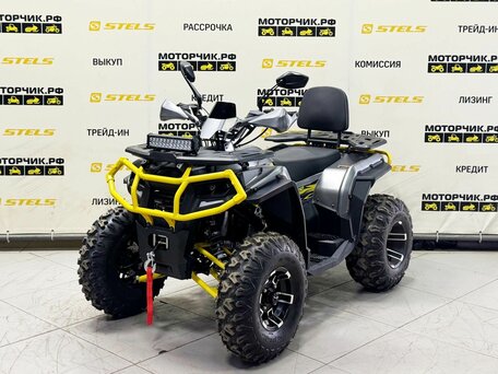 2026 Bison ATV 250F, серый, 239900 рублей, вид 1