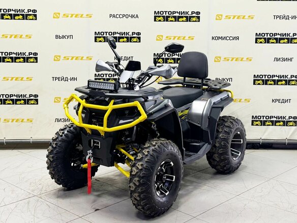 2026 Bison ATV 250F, серый