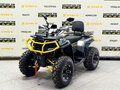 2026 Bison ATV 250F, серый