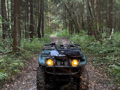2003 Yamaha Grizzly 450 (YFM450), зелёный, 319000 рублей, вид 1