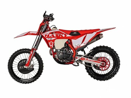 2023 Hasky F6 300, красный, 307000 рублей, вид 1
