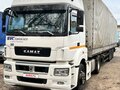 2017 КамАЗ 5490, белый, 2200000 рублей - вид 10