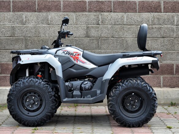 2026 Loncin XWolf 300, серый, 485000 рублей - вид 1