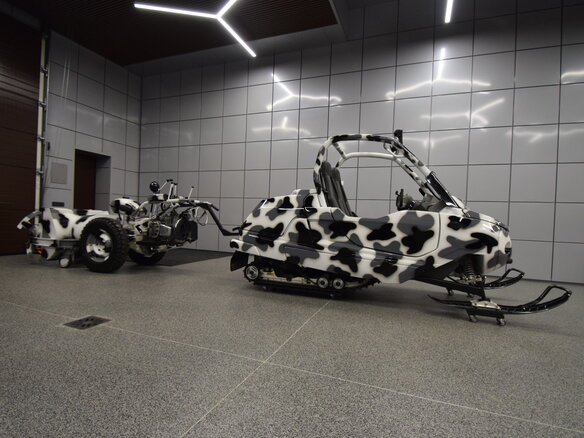 2004 BRP Ski-Doo Elite, белый, 3266575 рублей - вид 1