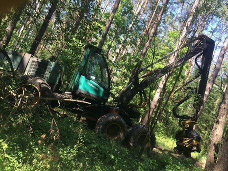 2002 Timberjack 1270C, 3250000 рублей, вид 1