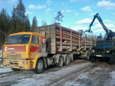 2010 КамАЗ 65116, золотистый, 960000 рублей, вид 1