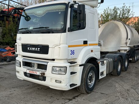 2018 КамАЗ 65206, белый, 4300000 рублей, вид 2