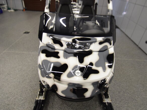 2004 BRP Ski-Doo Elite, белый, 3266575 рублей - вид 5