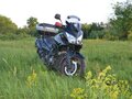 2009 Suzuki V-Strom DL 650, чёрный - вид 5