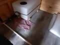 2023 МЗСА 817739, серебристый, 330000 рублей - вид 10
