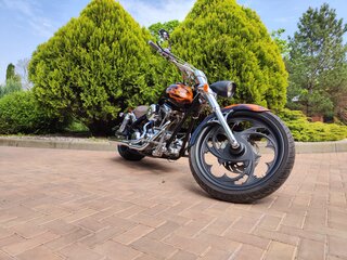 2007 Arlen Ness Lowliner, коричневый, 1699000 рублей, вид 4