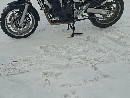2010 Yamaha FZ6, красный, 530000 рублей, вид 4