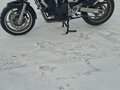 2010 Yamaha FZ6, красный, 530000 рублей - вид 3