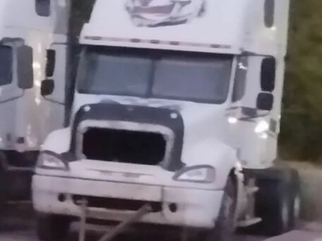 2004 Freightliner Century Class, белый, 1600000 рублей, вид 2