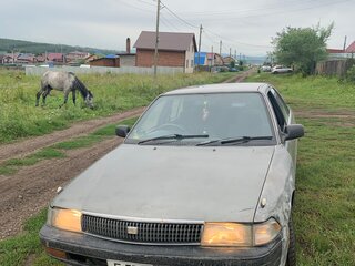 1990 Toyota Corona VIII (T170), серый, 120000 рублей, вид 1