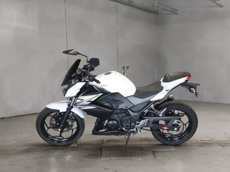 2014 Kawasaki Z 250, белый, 375000 рублей, вид 1