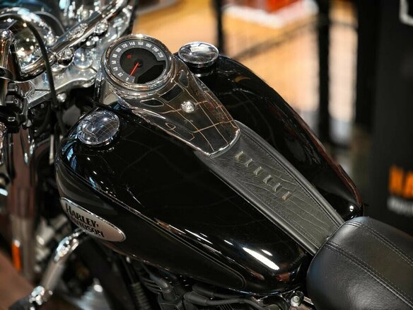 2021 Harley-Davidson Heritage, чёрный, 2100000 рублей - вид 13