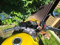 2014 Sym Wolf T2, жёлтый, 120000 рублей - вид 11