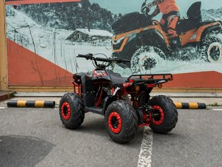 2026 Другие Мотовездеходы (другие), красный, 95500 рублей, вид 4