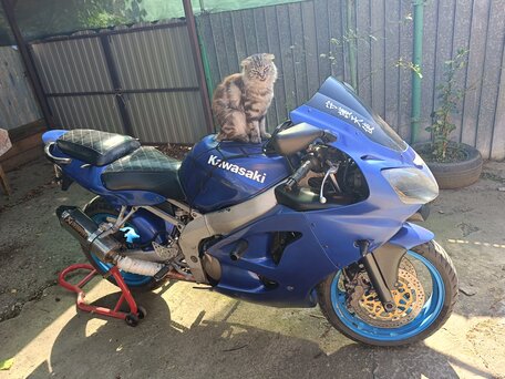 2001 Kawasaki ZX-6R Ninja, синий, 240000 рублей, вид 2