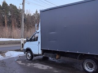2008 ГАЗ ГАЗель (3302), белый, 650000 рублей, вид 2