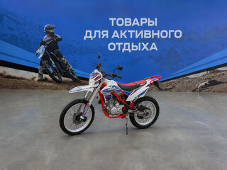 2026 Wels MX250R, белый, 126300 рублей, вид 1