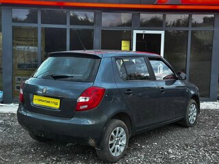 2010 Skoda Fabia II Рестайлинг, серый, 585000 рублей, вид 5