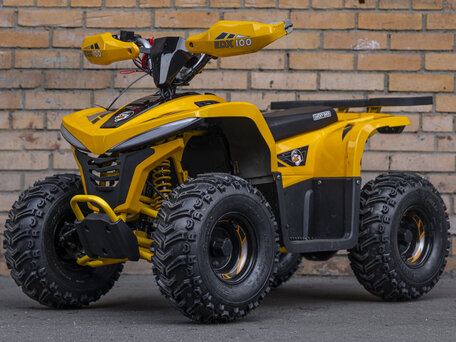 2026 Lucky Duck EDX100, жёлтый, 149990 рублей, вид 2