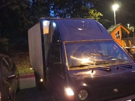 2008 Hyundai Porter, синий, 850000 рублей, вид 5
