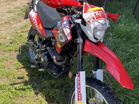 2025 Racer Panther, красный, 90000 рублей, вид 5