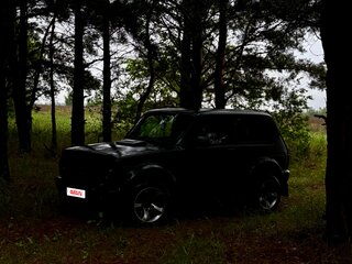 2019 Lada (ВАЗ) 2121 (4x4) I Рестайлинг, чёрный, 700000 рублей, вид 4