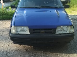 2005 Иж 2717, синий, 130000 рублей, вид 1