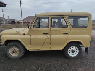 1995 УАЗ 315142, золотистый, 350000 рублей, вид 3