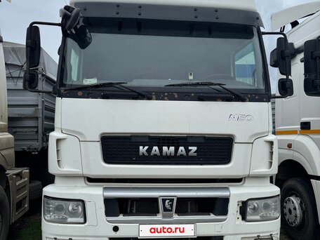 2018 КамАЗ 5490 NEO, белый, 1750000 рублей, вид 1