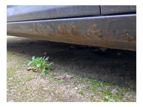 2010 Kia Ceed I Рестайлинг, серый, 420000 рублей - вид 6