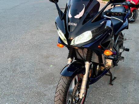 2005 Yamaha FZ6, синий, 620000 рублей, вид 4