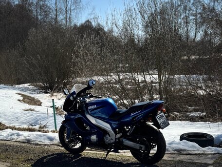 2002 Yamaha YZF600R Thundercat, синий, 320000 рублей, вид 5
