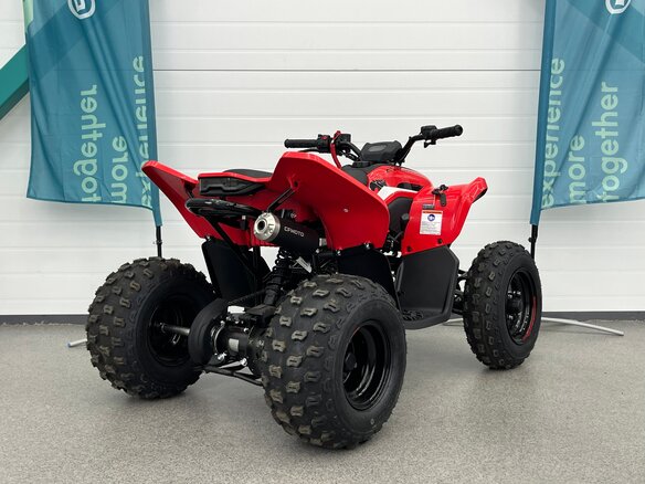 2025 CFMoto CFORCE 110, красный, 269910 рублей - вид 4