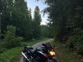 2000 Suzuki GSX 600F Katana, чёрный, 320000 рублей - вид 5