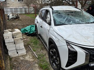 2023 Hyundai Mufasa I (NU2), белый, 1250000 рублей, вид 5